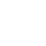 Whatsapp icon
